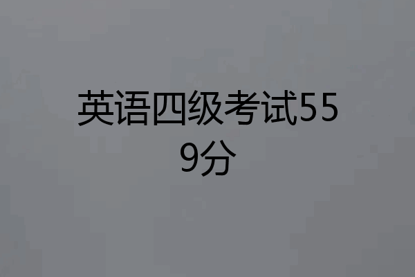 英语四级考试559分