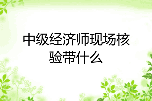 中级经济师现场核验带什么