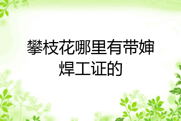 攀枝花哪里有带婶焊工证的