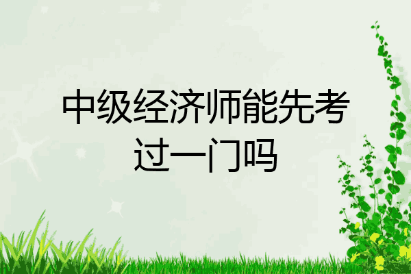中级经济师能先考过一门吗