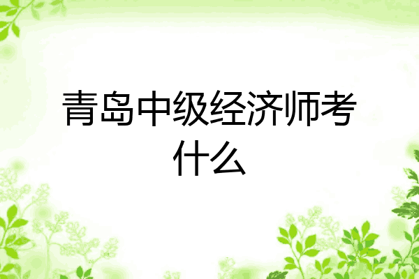 青岛中级经济师考什么