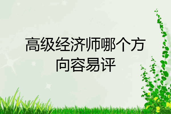高级经济师哪个方向容易评