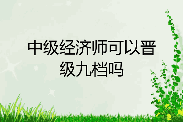 中级经济师可以晋级九档吗