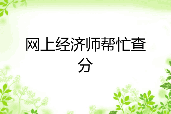 网上经济师帮忙查分