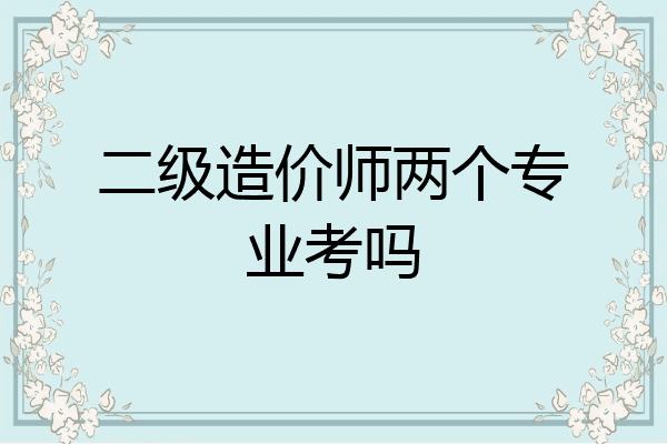 二级造价师两个专业考吗