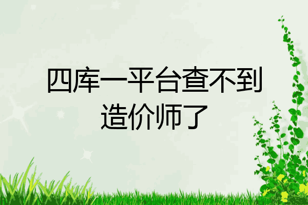 四库一平台查不到造价师了