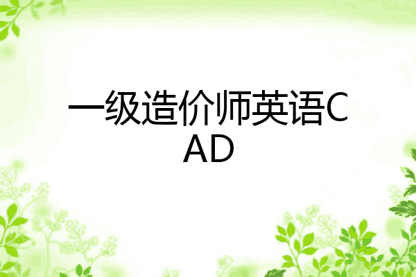 一级造价师英语CAD