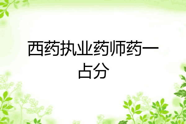 西药执业药师药一占分