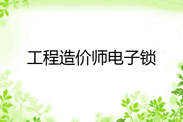 工程造价师电子锁