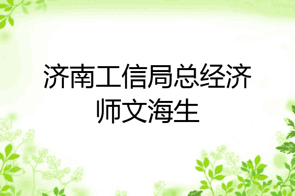 济南工信局总经济师文海生