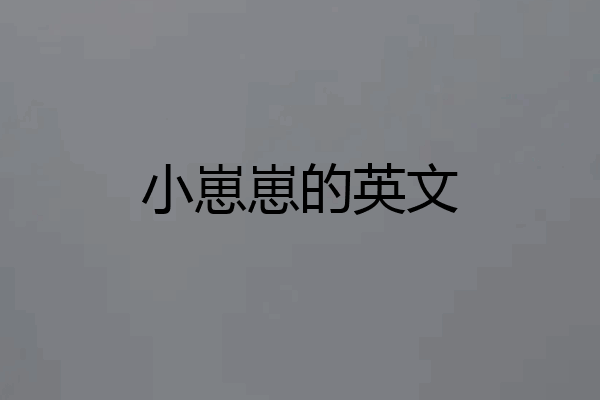 小崽崽的英文