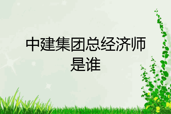 中建集团总经济师是谁