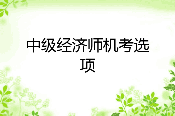 中级经济师机考选项