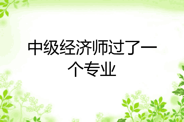 中级经济师过了一个专业