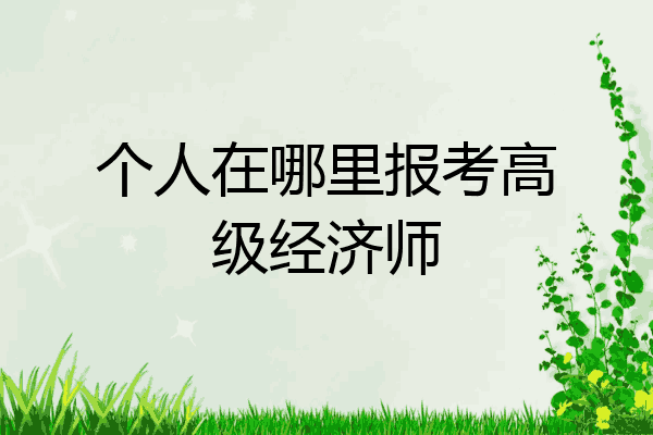 个人在哪里报考高级经济师