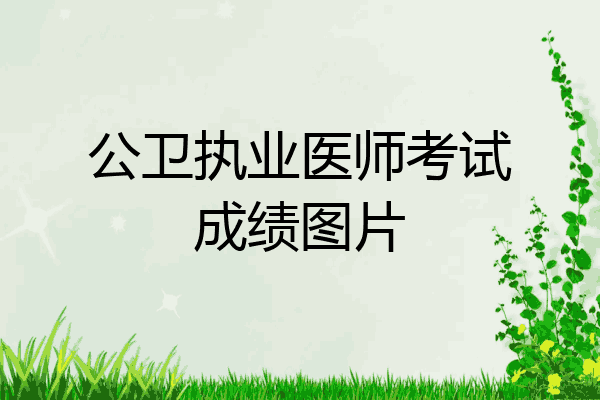公卫执业医师考试成绩图片