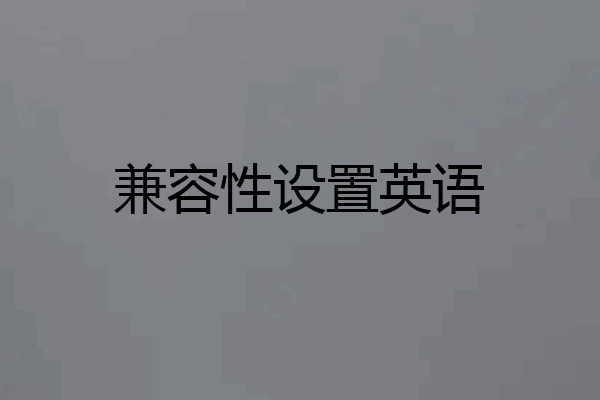兼容性设置英语