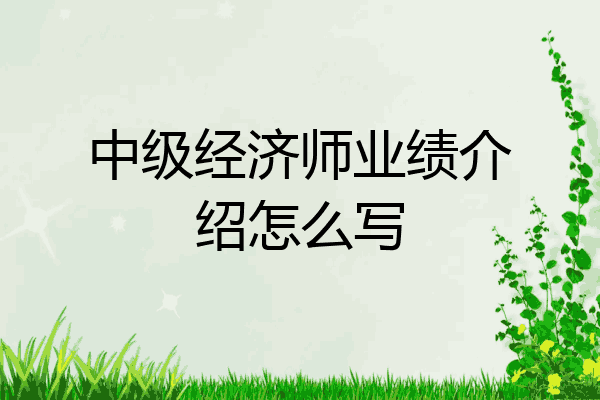 中级经济师业绩介绍怎么写