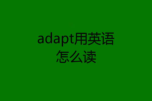 adapt用英语怎么读