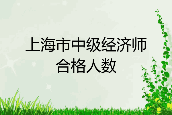 上海市中级经济师合格人数