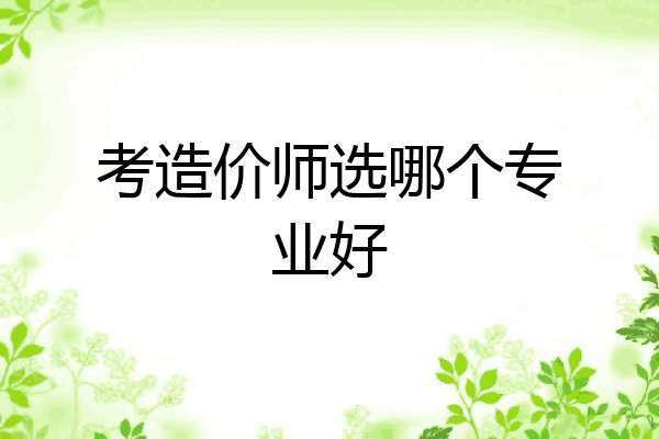 考造价师选哪个专业好