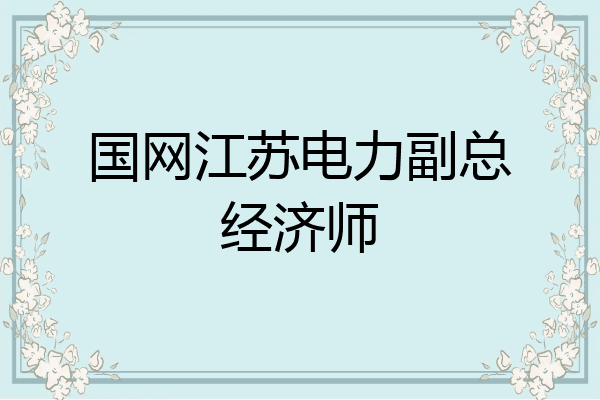 国网江苏电力副总经济师