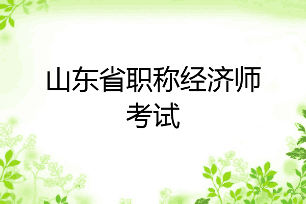 山东省职称经济师考试