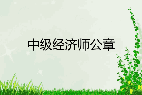 中级经济师公章