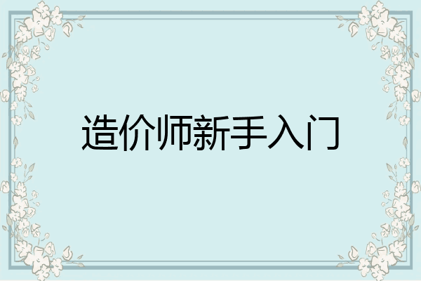 造价师新手入门