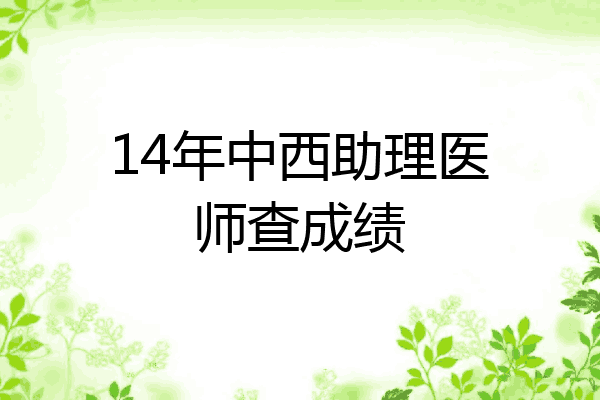 14年中西助理医师查成绩