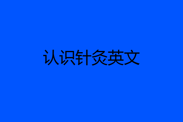 认识针灸英文