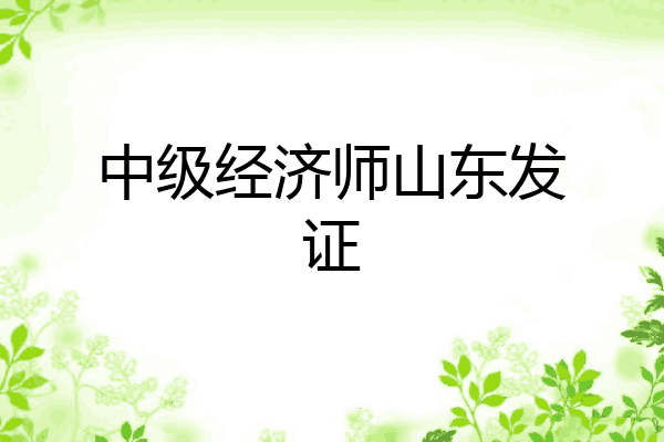中级经济师山东发证