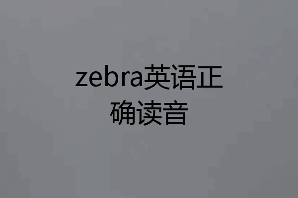 zebra英语正确读音