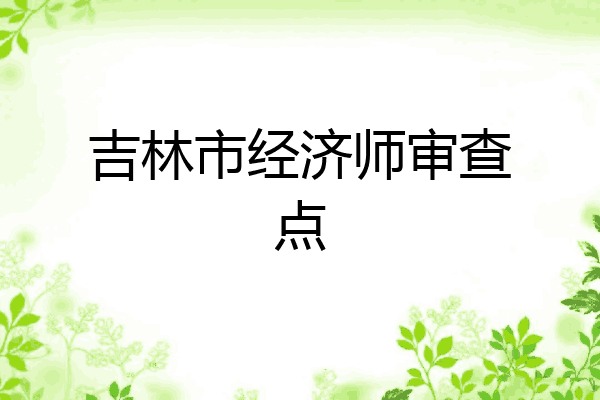 吉林市经济师审查点