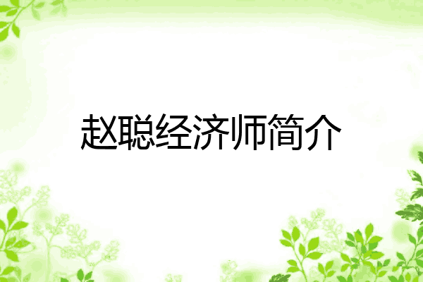 赵聪经济师简介