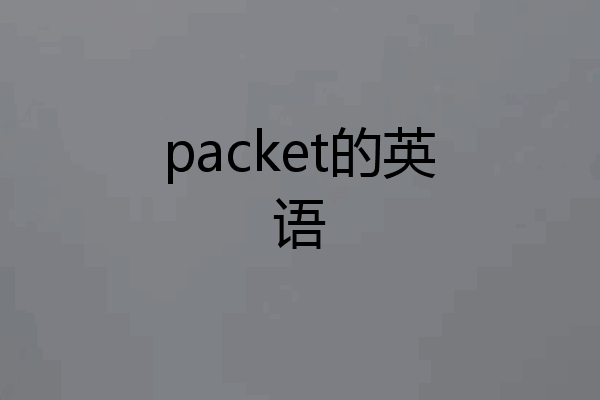 packet的英语