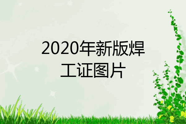 2020年新版焊工证图片