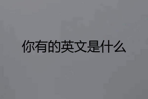 你有的英文是什么