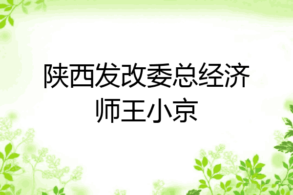 陕西发改委总经济师王小京