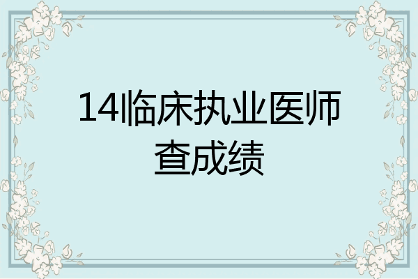 14临床执业医师查成绩