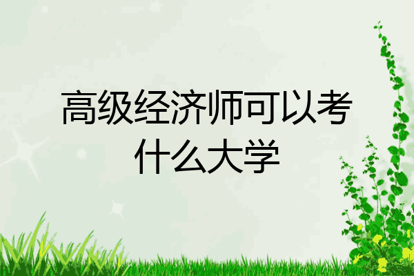 高级经济师可以考什么大学