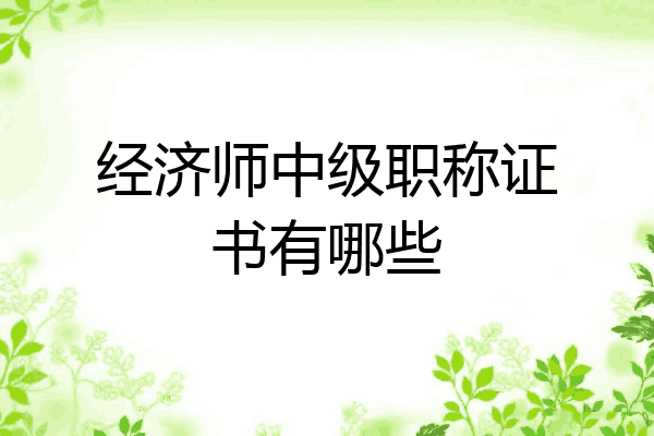 经济师中级职称证书有哪些