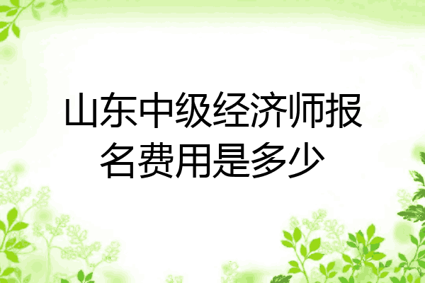 山东中级经济师报名费用是多少
