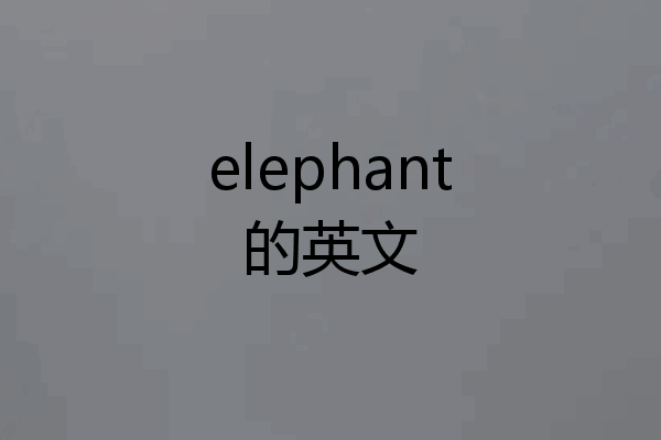 elephant的英文