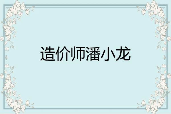 造价师潘小龙