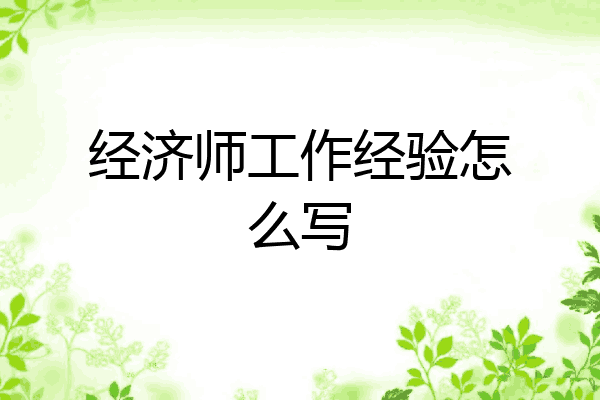经济师工作经验怎么写
