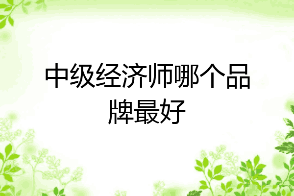 中级经济师哪个品牌最好