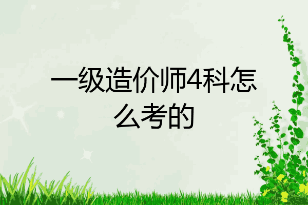 一级造价师4科怎么考的