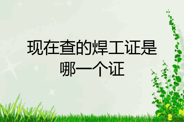 现在查的焊工证是哪一个证