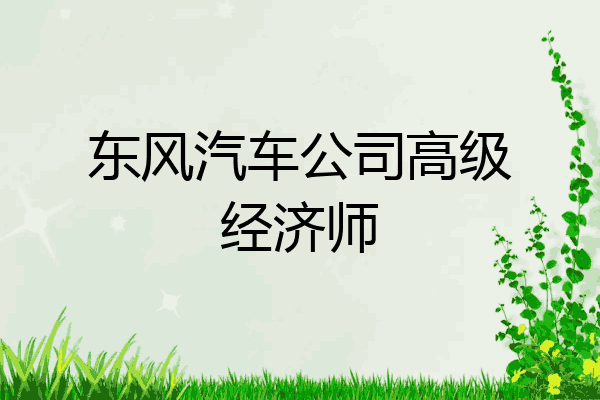 东风汽车公司高级经济师
